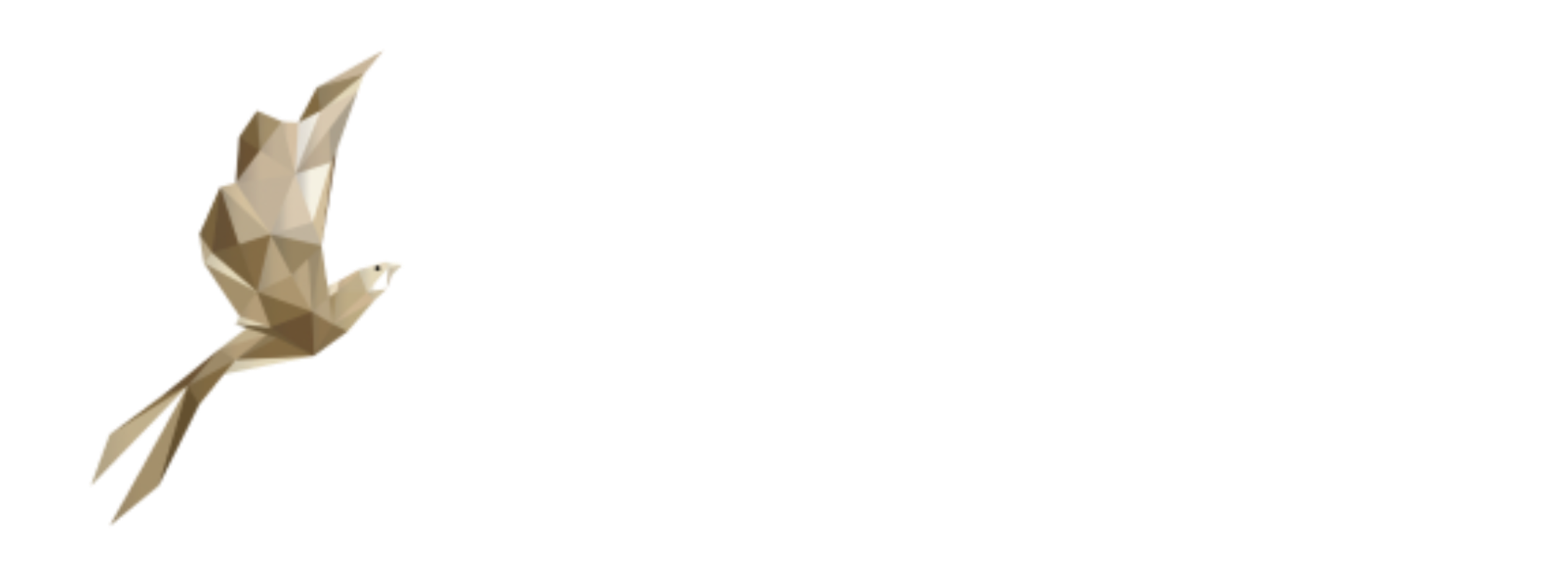 Layang Layang Flying Academy
